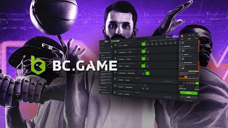 Exploring BC.Game Casino A New Era of Online Gaming in Japan -171198405