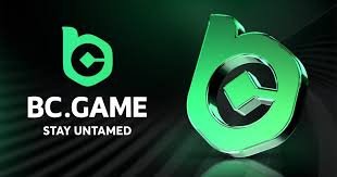 Exploring the BC Game Mirror Your Gateway to Enhanced Gaming Experience
