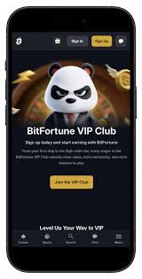 Bitfortune Coin Payments BTC vs. Alternatives