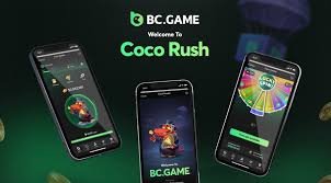 Exploring the BC.Game BR Platform A Gamer's Paradise in Brazil