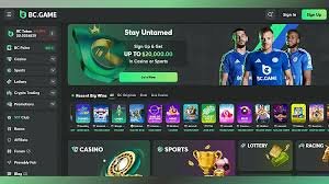 Exploring the BC.Game BR Platform A Gamer's Paradise in Brazil